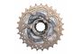 Campagnolo Cassette RECORD™ 11V