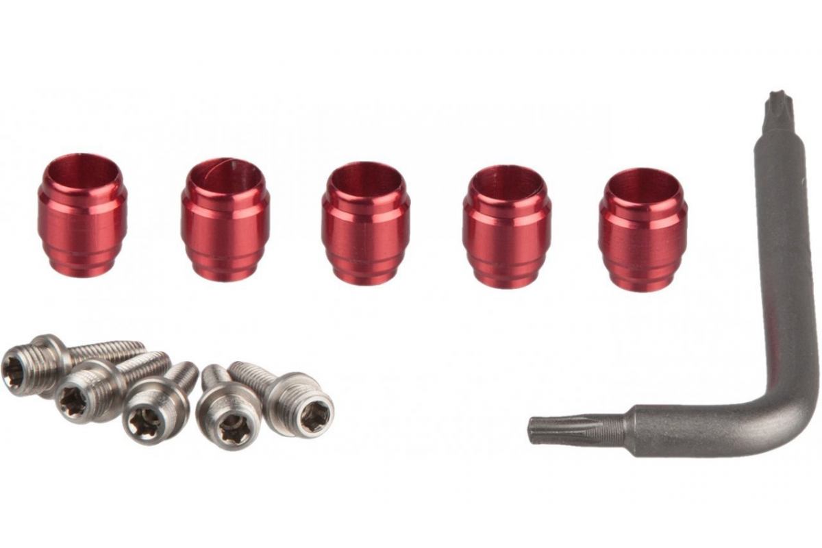 Sachet de 5 Olives Pin et olive