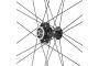 Paire de roues noires Bora WTO 33 Disc CAMPAGNOLO