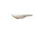 Brooks - selle Cambium C17 Organic Light