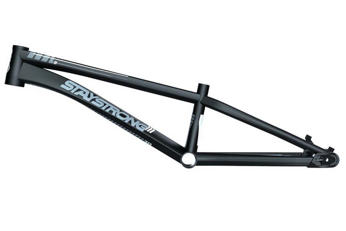 Cadre Noir For Life V4 Staystrong
