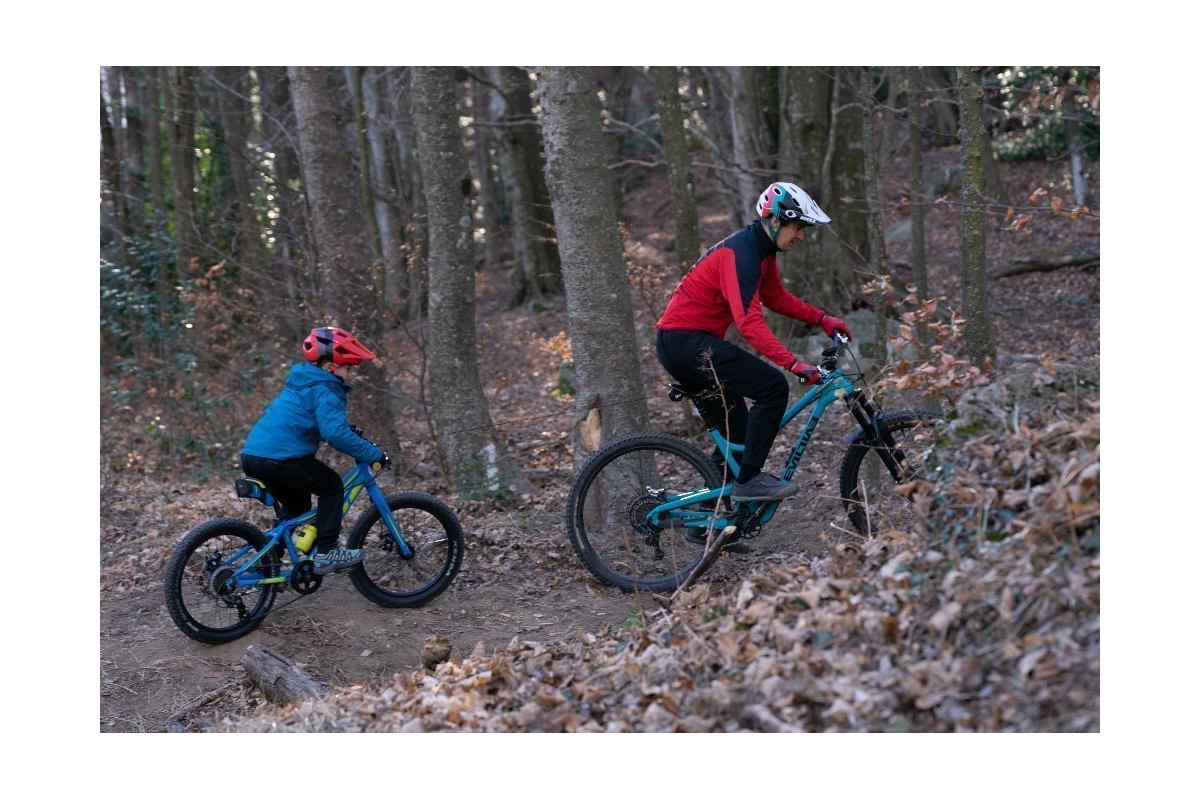 Syst-egrave-me de Traction V-eacute-lo TRAX PRO