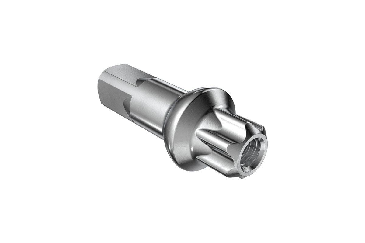 Écrou de Rayon DT SWISS Alu Squorx 2 mm Pro Head Pro Lock