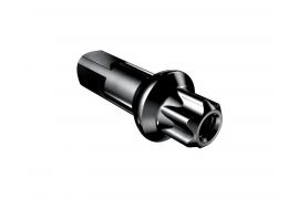 Écrou de Rayon DT SWISS Laiton Squorx 2 mm Pro Head Pro Lock