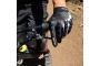 Gants G-FORM Moab