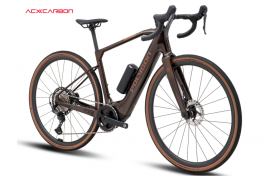 Polygon Tambora AE-N | Gravel Électrique Bosch SX 55Nm 650Wh
