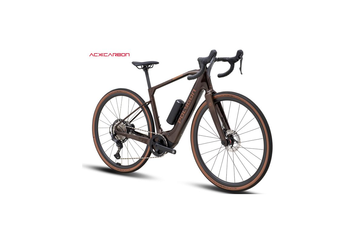 Polygon Tambora AE-N | Gravel Électrique Bosch SX 55Nm 650Wh