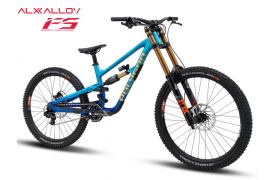 VTT de descente POLYGON COLLOSUS DH-R