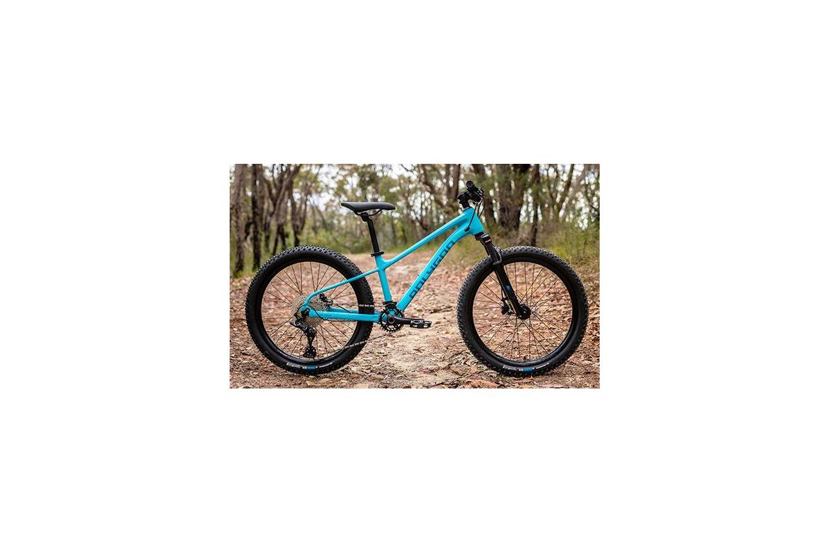 Polygon Xtrada 24 | VTT Enfant 24" Microshift Advent 10V