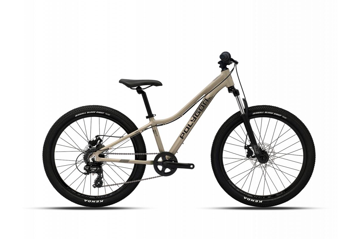 VTT Enfant POLYGON RELIC 24 Pouces | 9-12 Ans | Suspension et Performance