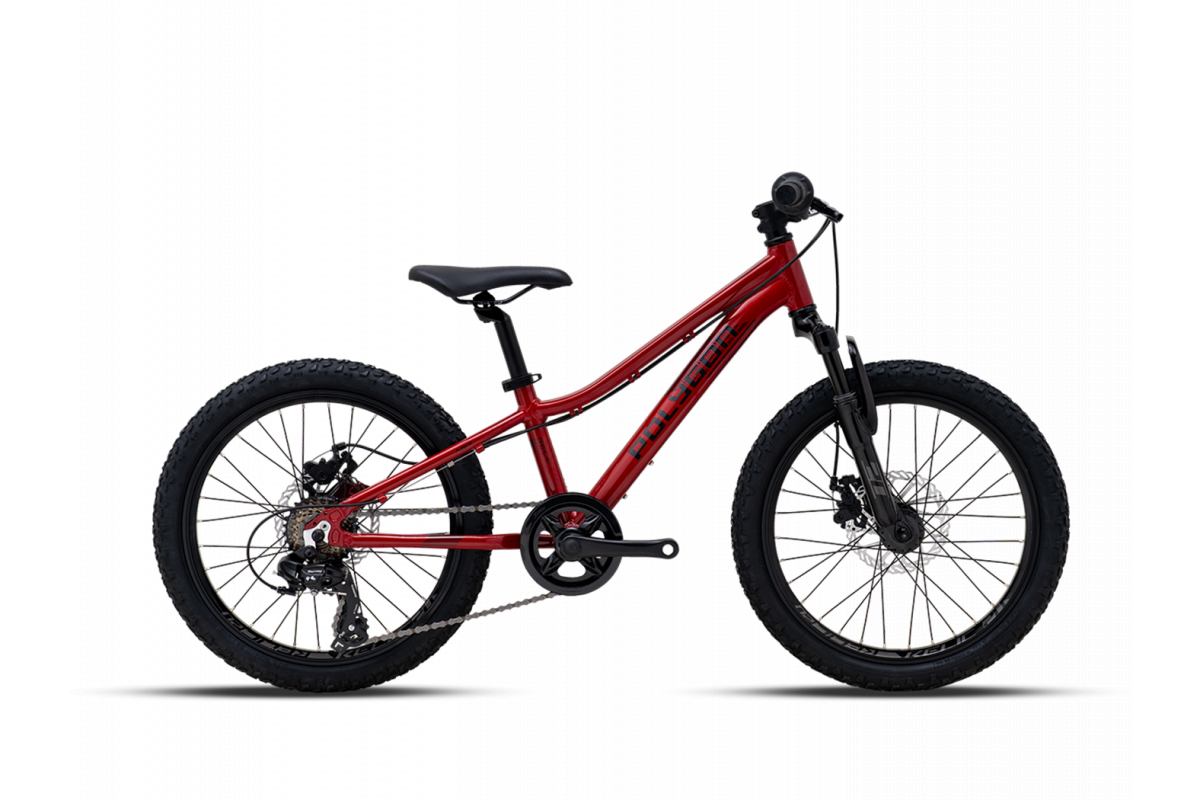 VTT Enfant POLYGON Relic 20 Pouces | Suspendu & Robuste 5-8 Ans