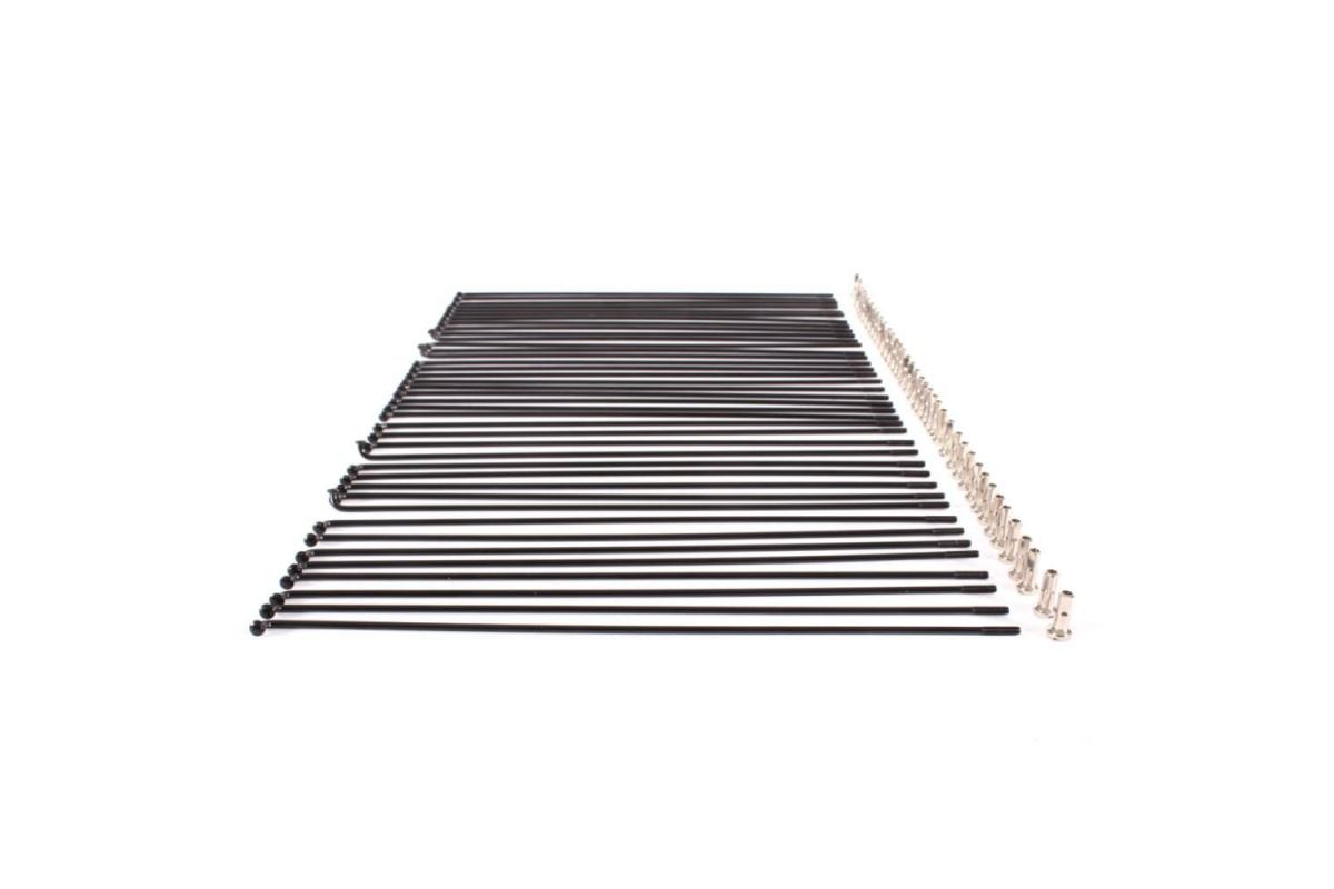 3_rayons-odyssey-black-x-40