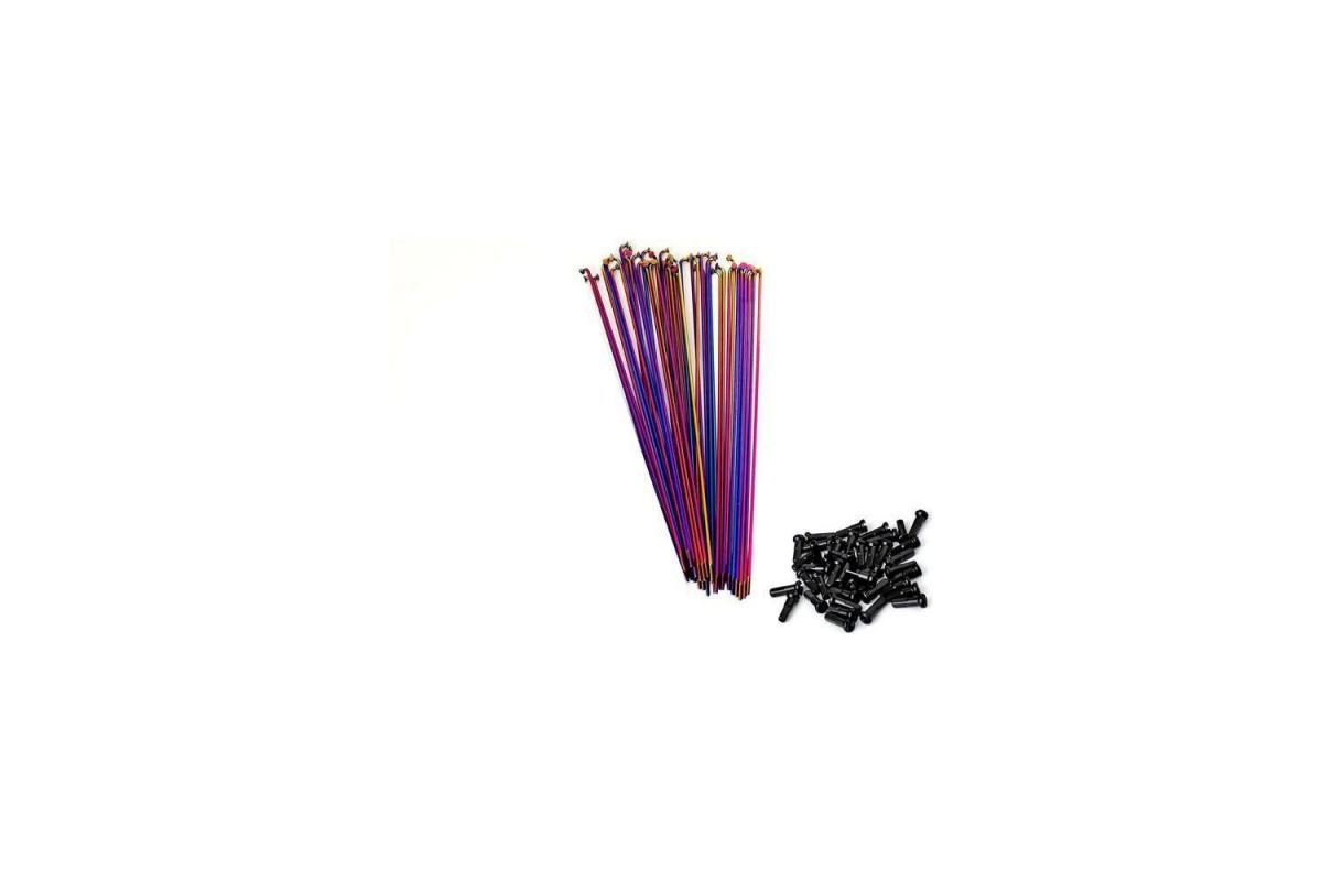 0_rayons-total-db-rainbow-x20