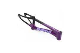 0_cadre-stay-strong-for-life-v5-2025-purple-black