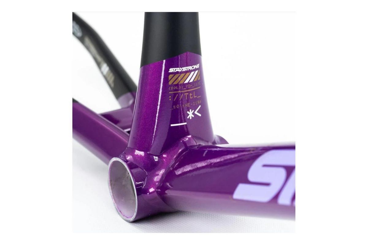 2_cadre-stay-strong-for-life-v5-2025-purple-black