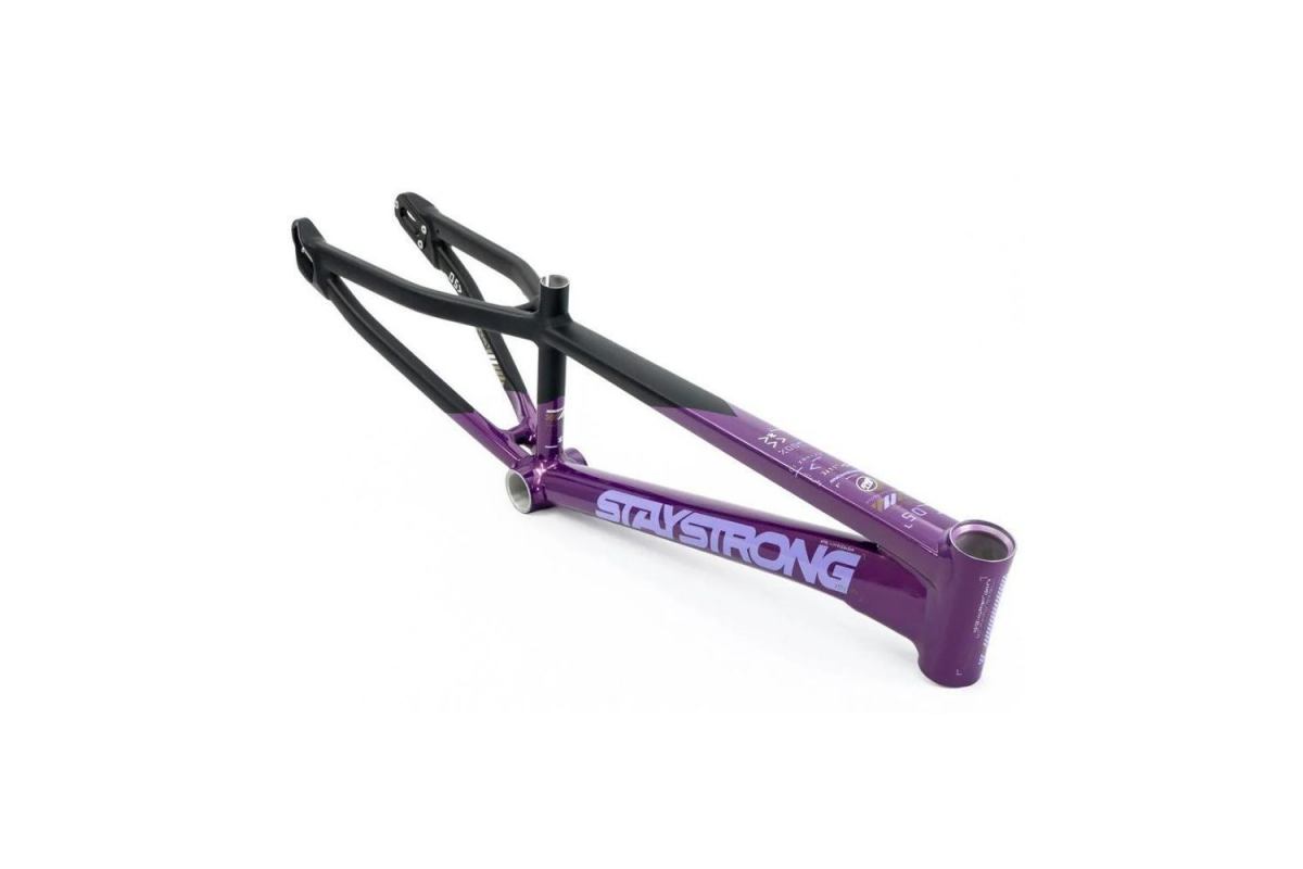 5_cadre-stay-strong-for-life-v5-2025-purple-black