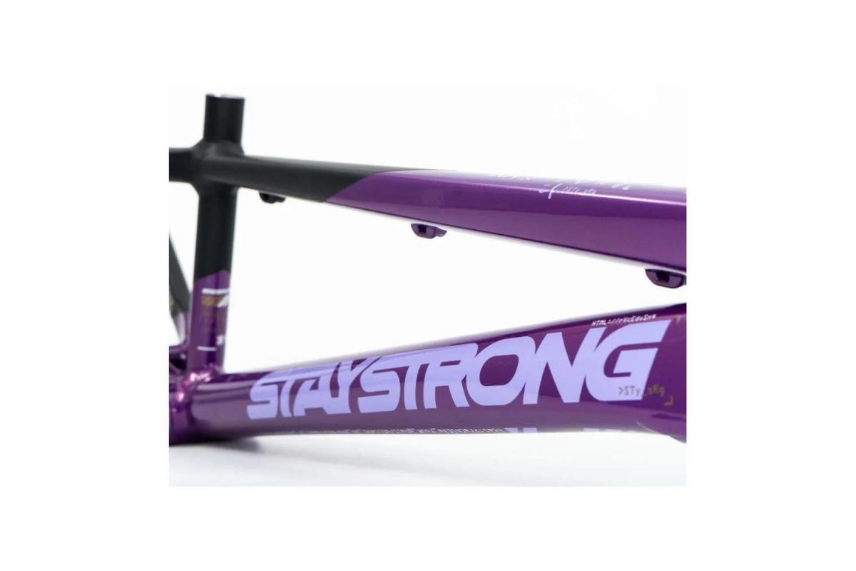 6_cadre-stay-strong-for-life-v5-2025-purple-black