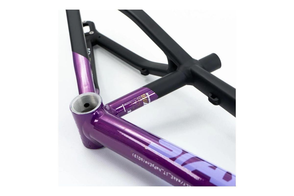 7_cadre-stay-strong-for-life-v5-2025-purple-black