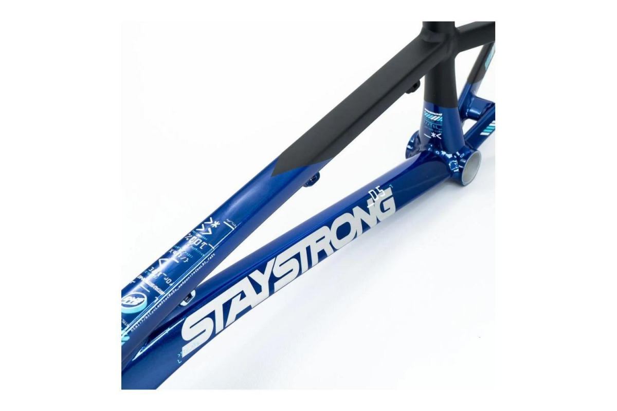 2_cadre-stay-strong-for-life-v5-2025-navy-black