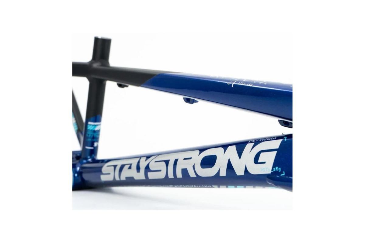 5_cadre-stay-strong-for-life-v5-2025-navy-black