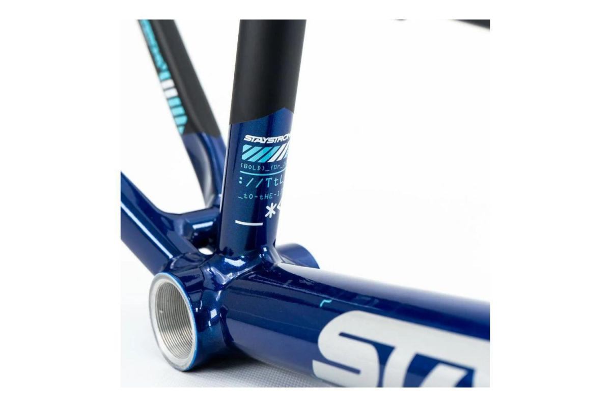 6_cadre-stay-strong-for-life-v5-2025-navy-black