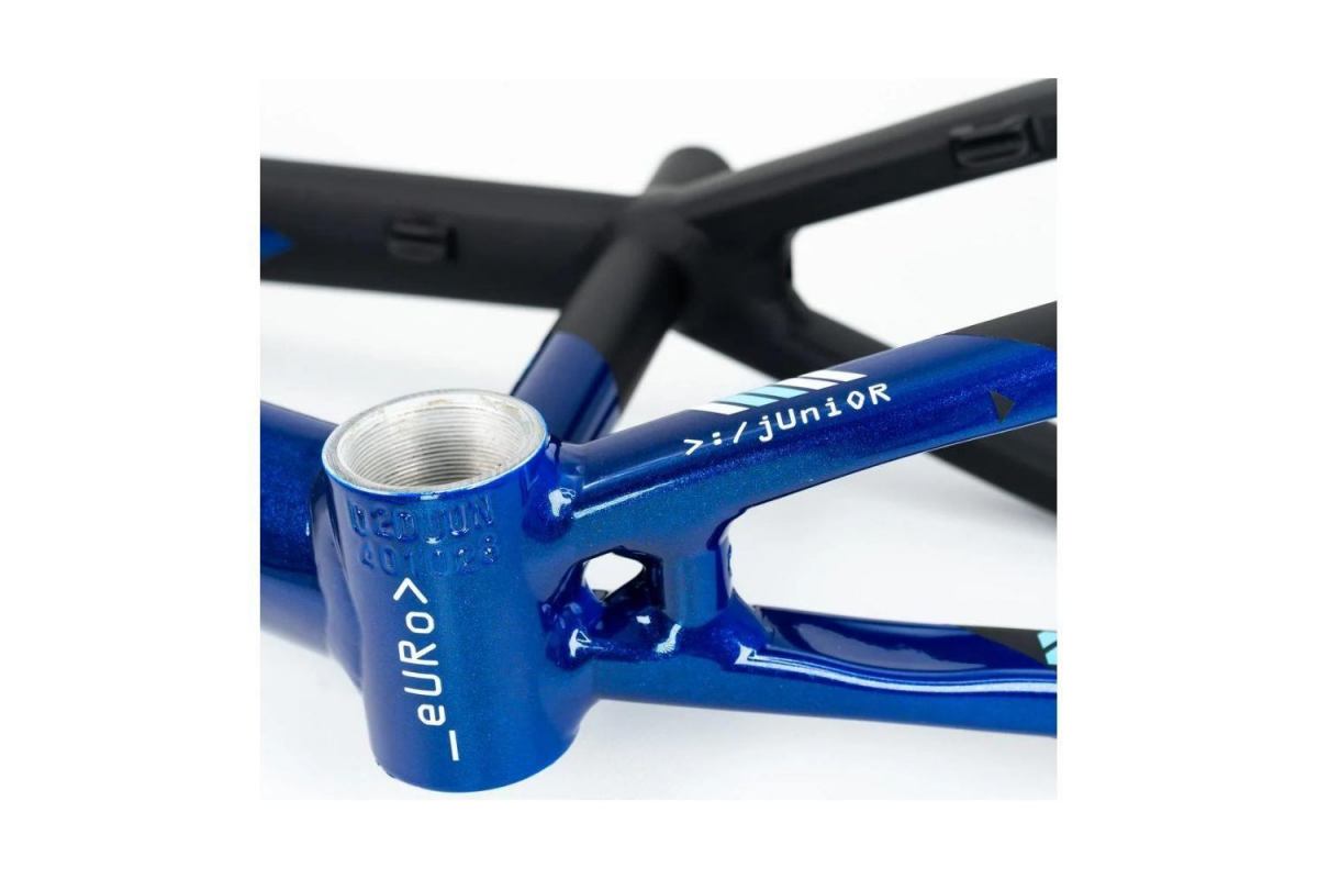 7_cadre-stay-strong-for-life-v5-2025-navy-black