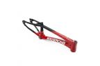 Cadre Stay Strong For Life V5 2025 - Red / Black