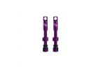 Valves Tubeless Title - Purple