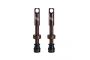 0_valves-tubeless-title-bronze