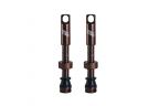 Valves Tubeless Title - Bronze