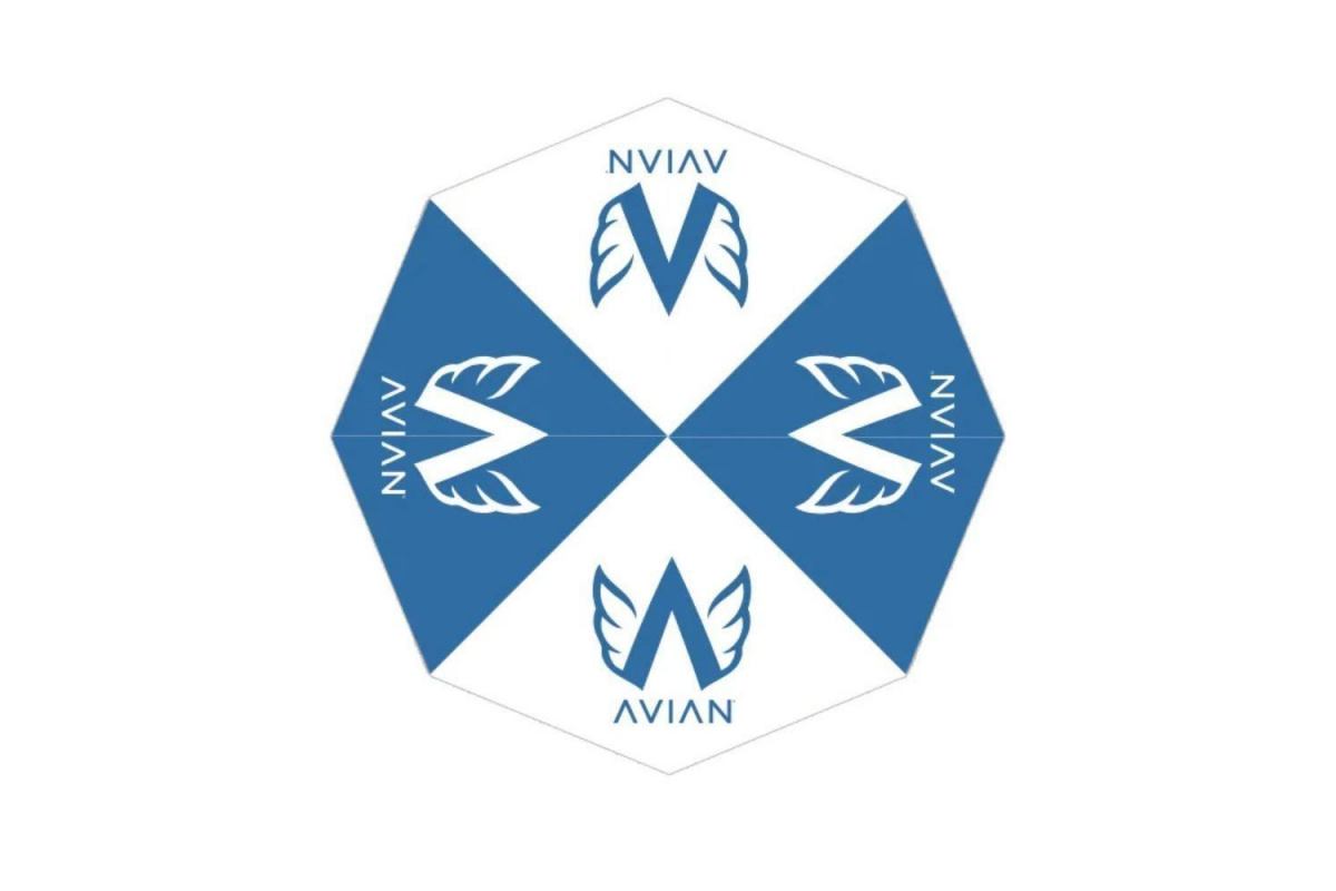 0_parapluie-avian-bluewhite