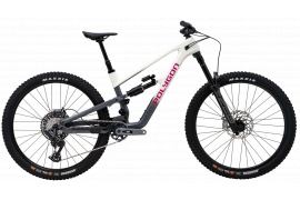 POLYGON Collosus N9 Carbone Di2 | FOX Factory | XTR