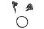 SHIMANO GRX Ens. Frein Disc Hydrau. BRRX810KTSTRX810ST Pour Transmission Mono-Plateau