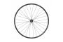 SHIMANO Roue WH-RS171-CL-F12-700C Frein -agrave- disque CENTER LOCK Avant