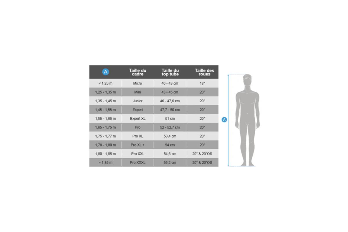 BMX Enfants POLYGON Razor Micro Mini Junior – Idéal Débutant & Premières Figures