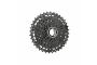 1_CS-LG400-9-11-36T-shic219-primary_2