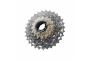 1_CS-R9200-12-11-30T-shic219-primary_2