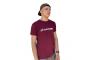 0_t-shirt-inspyre-logo-burgundy
