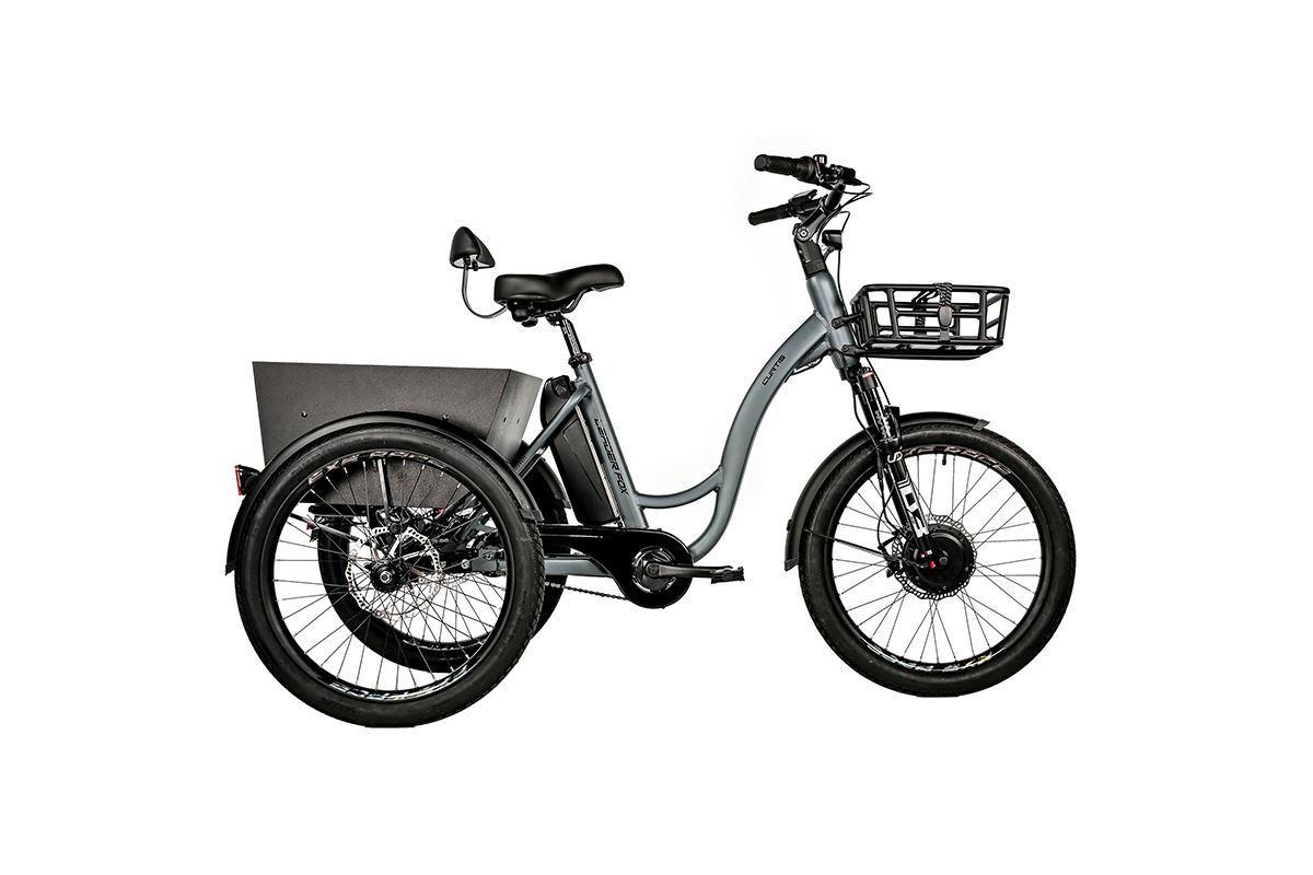 Tricycle Électrique Leader Fox CURTIS 2025 8V | Grande Autonomie