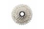 0_CS-R8101-12-11-34T-primary_1