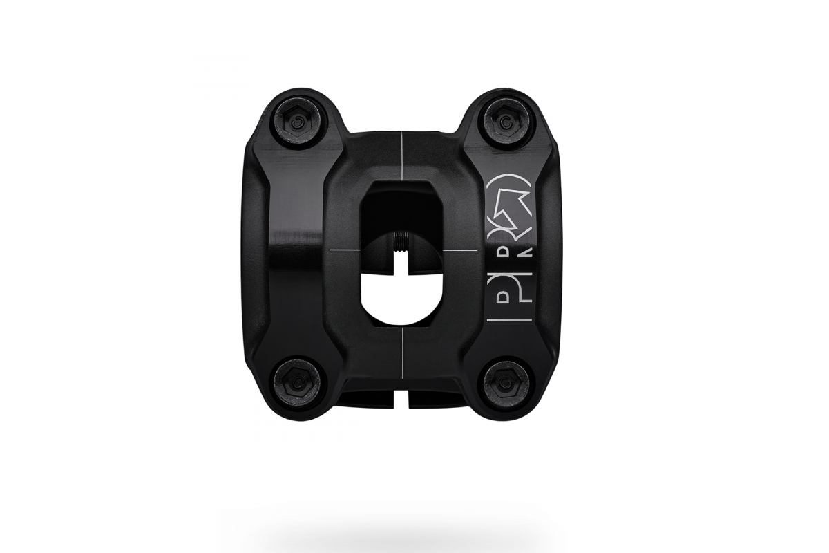 3_PRSS0534_Koryak_Stem_04