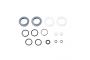 ROCK SHOX Service Kit Basic dust seals, rings,o-ring Sektor Tukey D Po