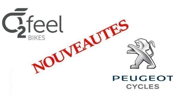 Nouveautés 2019